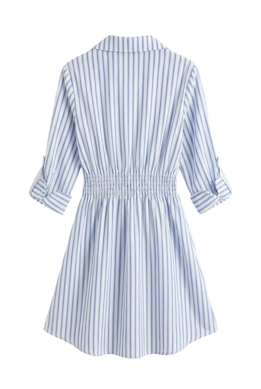 Striped Chemisier Dress